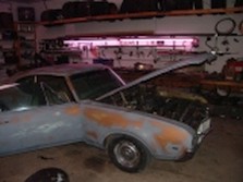 DSC03478.jpg