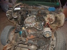 DSC03497.jpg