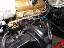 DSC05942.jpg