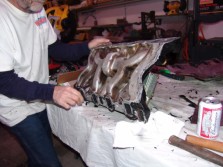 DSC01574.jpg