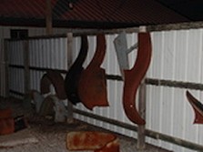 DSC00139.jpg