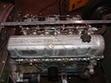DSC00495.jpg
