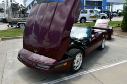 DSC_7901.JPG