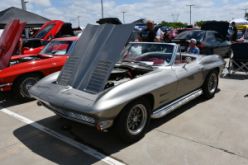 DSC_7917.JPG