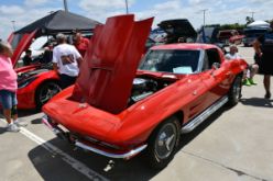 DSC_7918.JPG