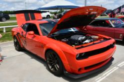 DSC_7921.JPG