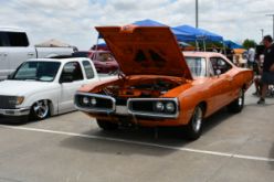 DSC_7933.JPG