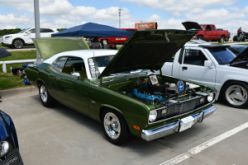DSC_7937.JPG