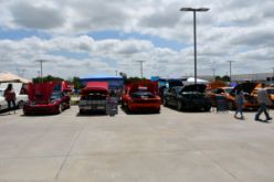 DSC_7948.JPG