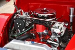 DSC_7950.JPG