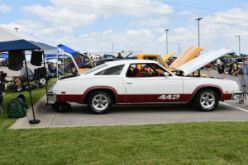 DSC_7975.JPG