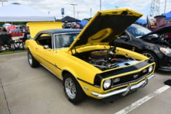 DSC_7978.JPG