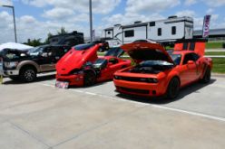 DSC_8029.JPG