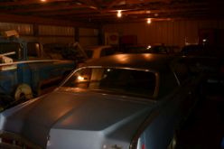 DSC_8675.JPG