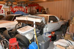 DSC_8688.JPG