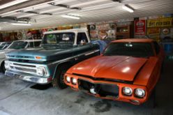 DSC_8698.JPG