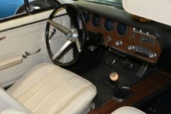 DSC_8710.JPG